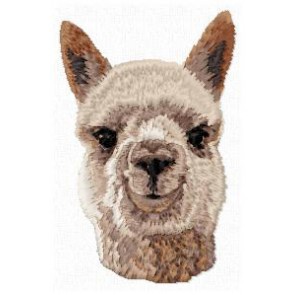 Alpaca - OD5