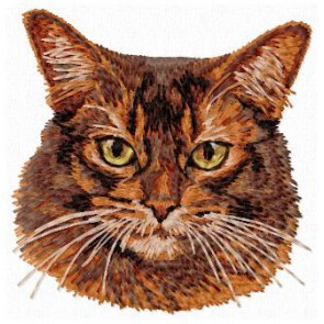 Abyssinian Cat - CD5