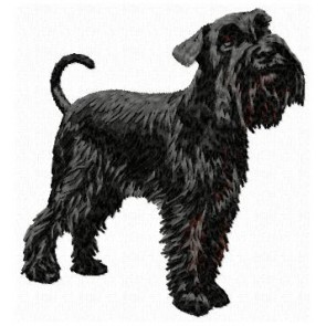 Miniature Schnauzer - DD108