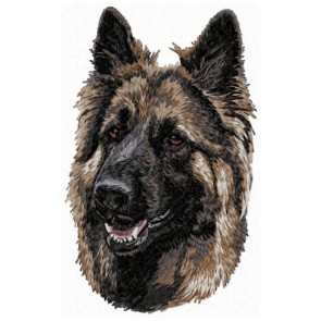 German Shepherd - LargeDD105