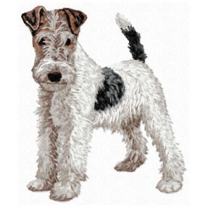 Fox Terrier - DD103