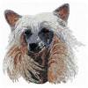 Chinese Crested Dog - DD148