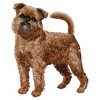 Brussels Griffon - DD116