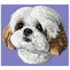 Shih-Tzu - DD160