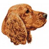 English Cocker Spaniel - DD2