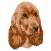 English Cocker Spaniel - DD38