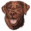 Labrador Retriever - DD59