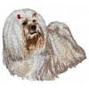 Lhasa Apso - DD67