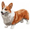 Pembroke Welsh Corgi - DD76