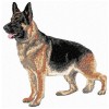 German Shepherd - Large DD149