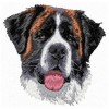 Saint Bernard Dog - DD145