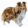 Shetland Sheepdog - DD143